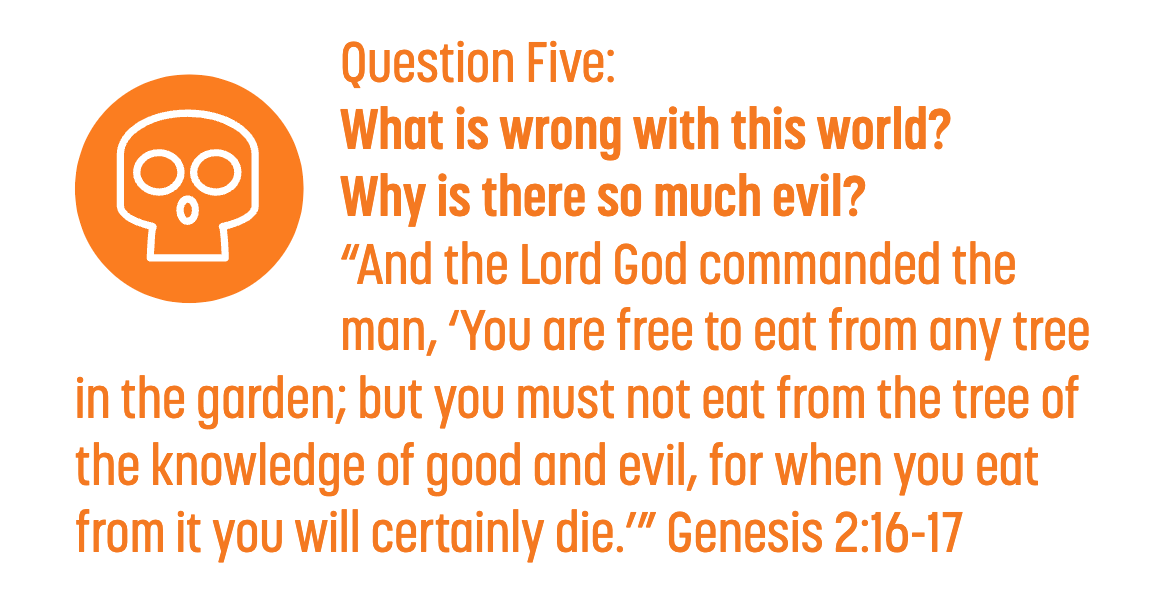 Answering Life’s Ultimate Questions: Part Four