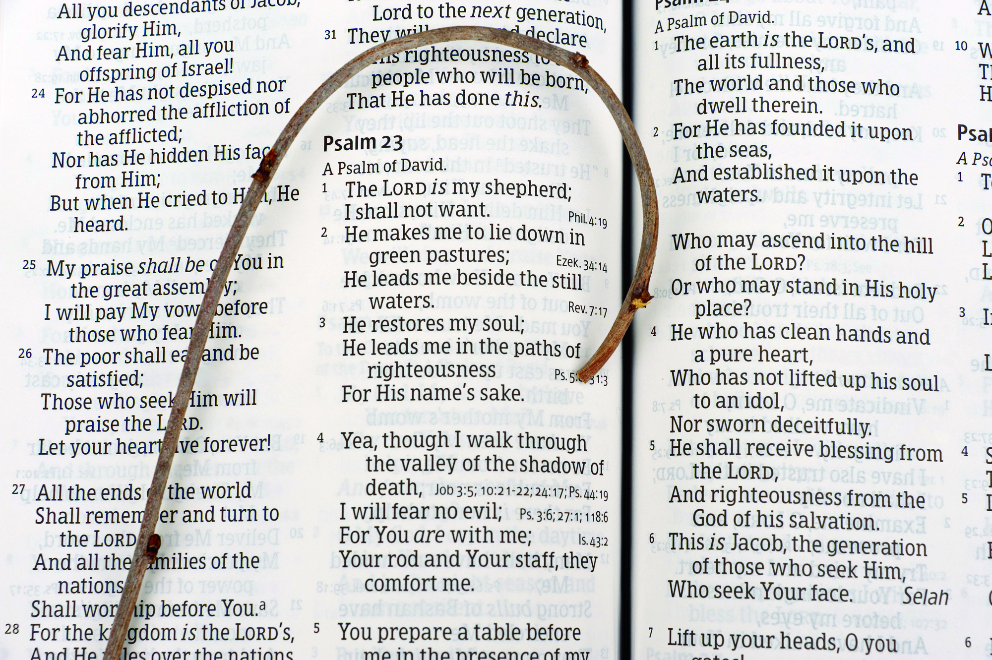 More Good Shepherds Needed: Exploring the Five Functions of a Shepherd Leader