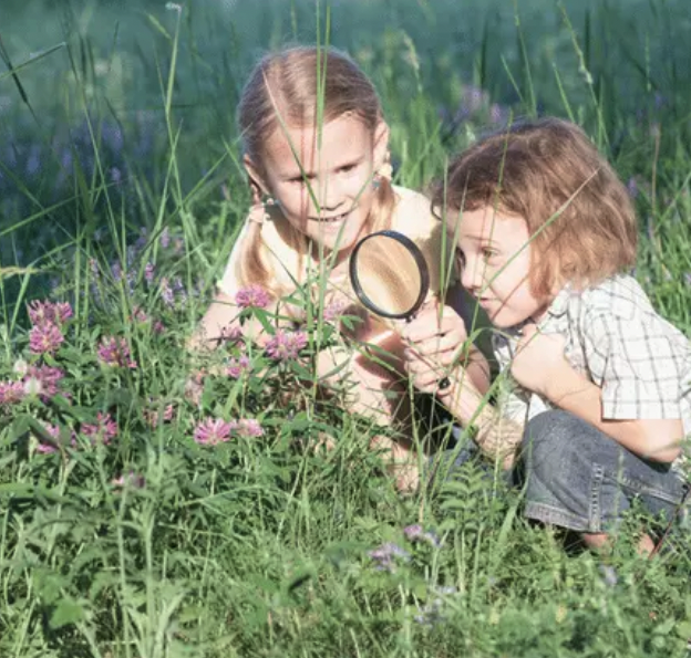 Helping Our Kids Unplug from Technology and Engage with God’s Creation