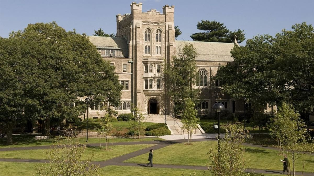Harvard Student Says Cutting Down 100-Year-Old Oak Tree Akin to Murder