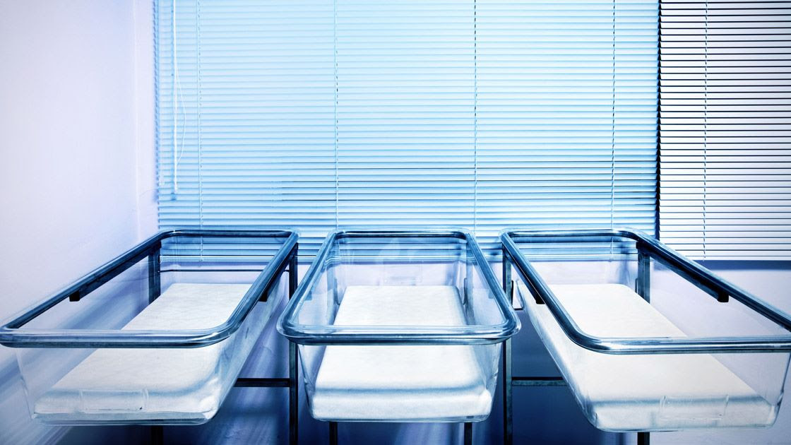 The Birth Rate is Falling. But Why?