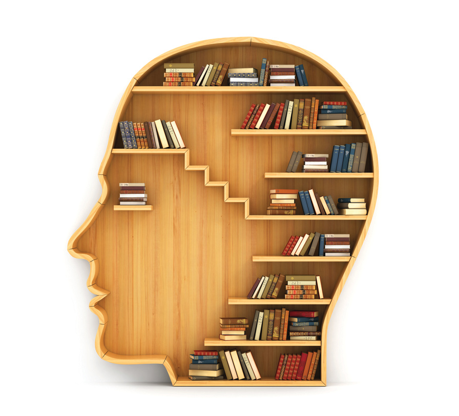 American Education: Shaping the Mind and Soul