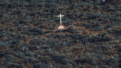 Atheists In Praise Of Christianity?