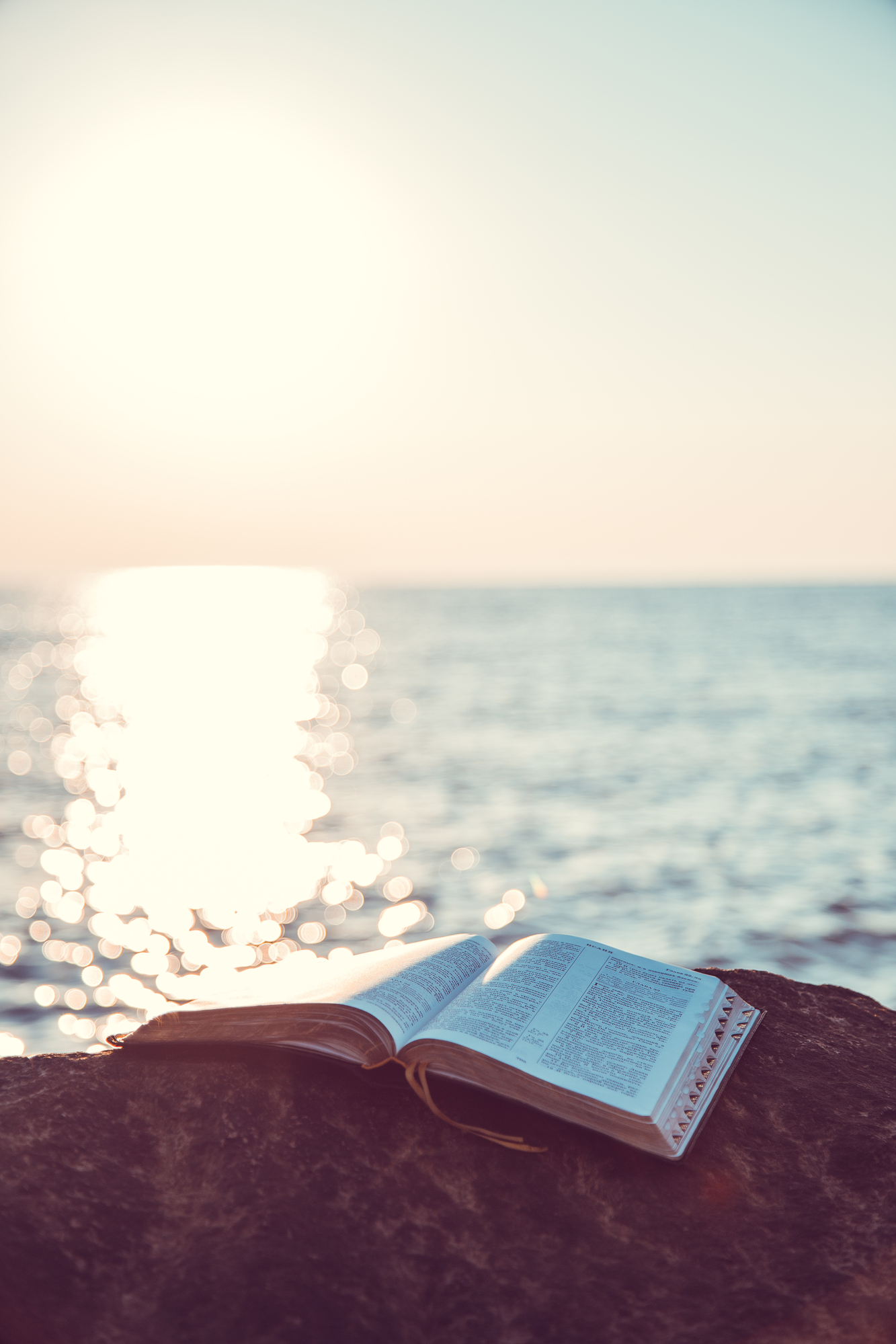 The Power of Biblical Worldview Immersion