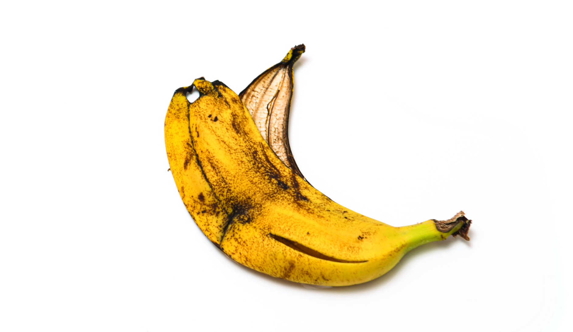 What is the Real Fruit of Non-Christian Education?