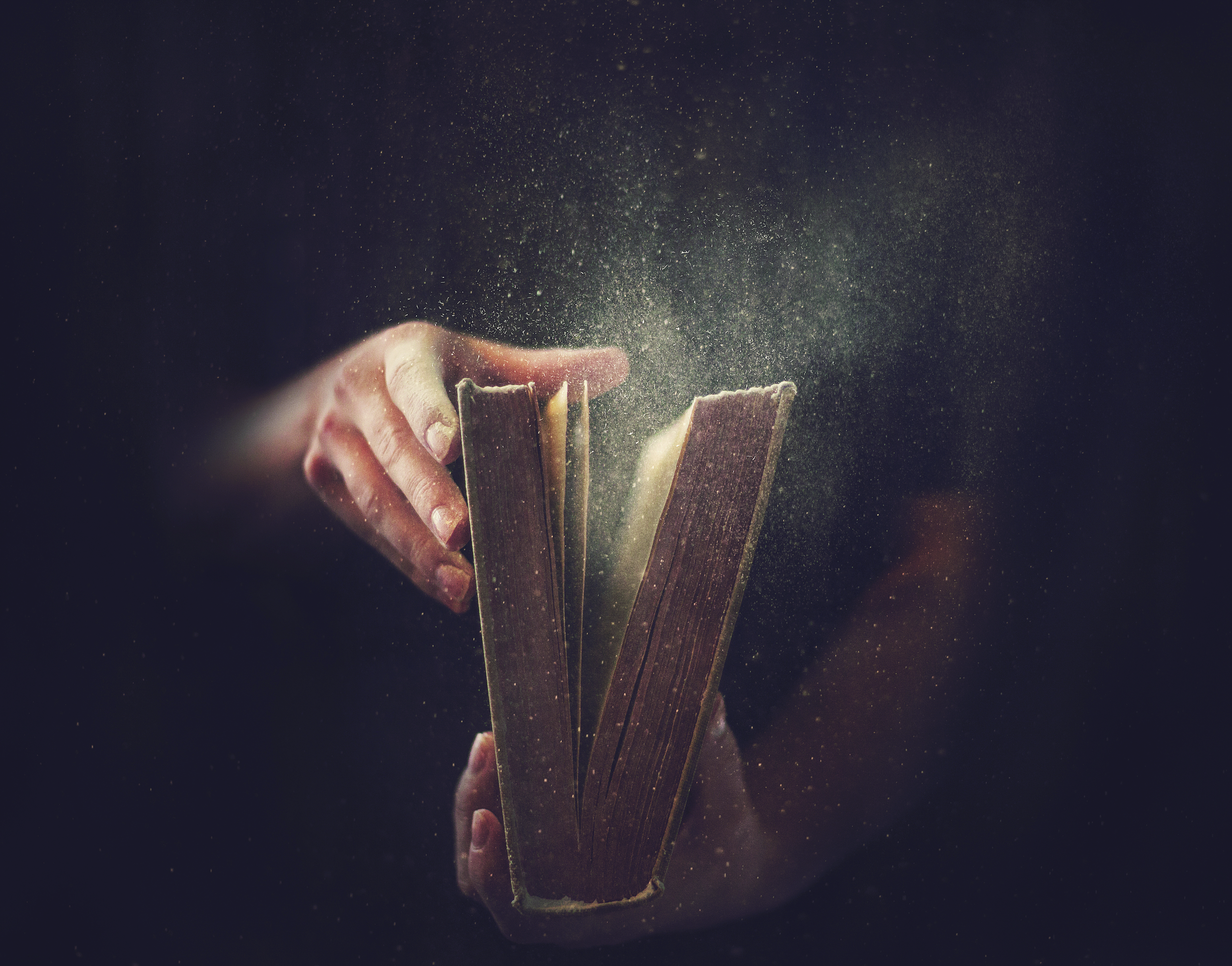 Examining the World Through the Light of Scripture