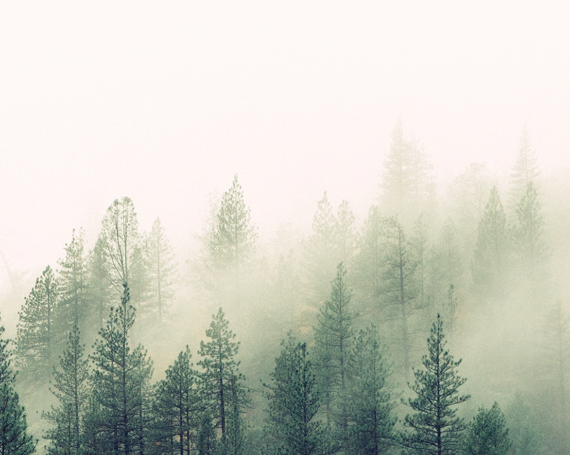 The Power and Purpose of Camp