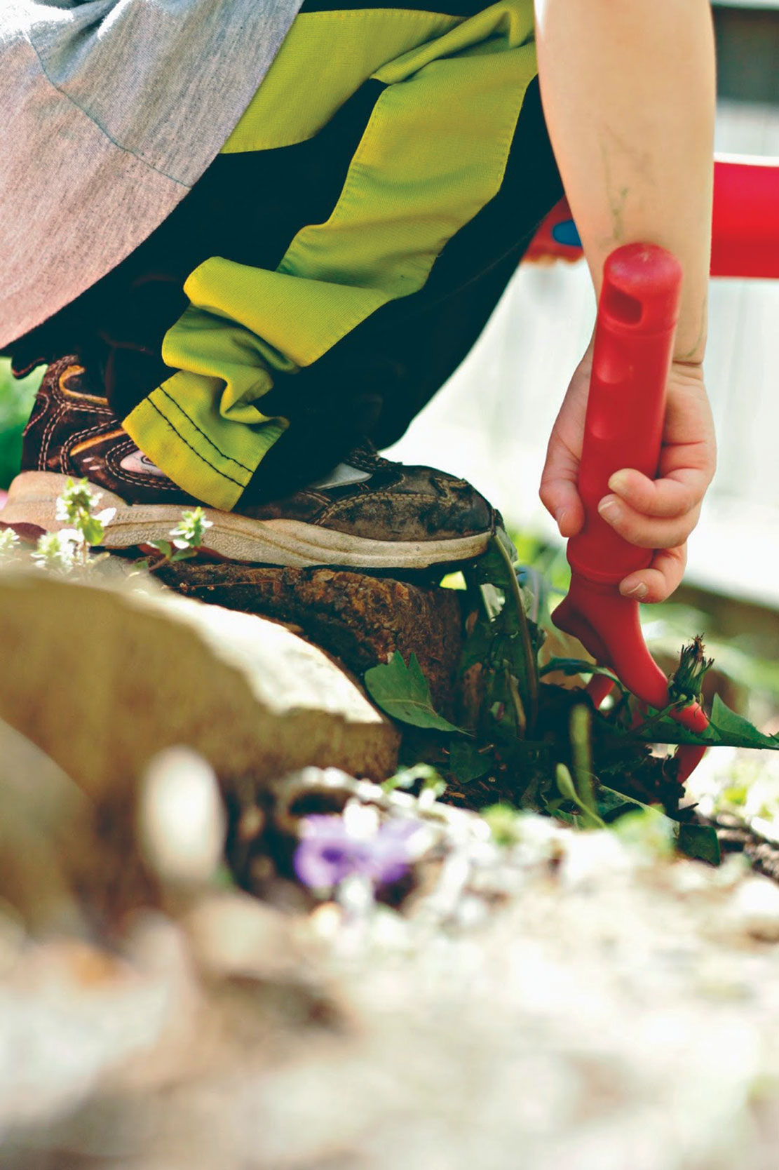 Weeds, Roots, and Discipleship